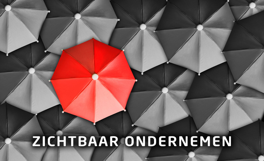 Website in regio Gelderland